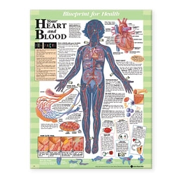 Blueprint for Health Your Heart and Blood ...