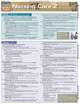 Nurse Care 2 (Ethicsc & Responsibility) (8.5