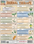 Herbal Therapy Study Guide (8.5